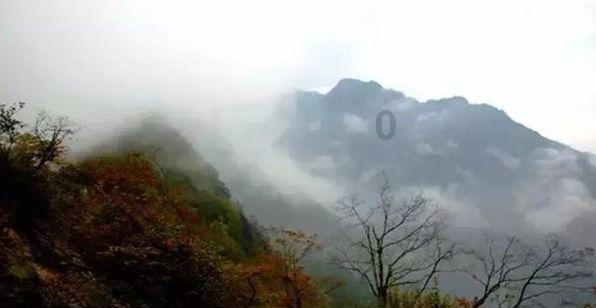 救援可爱的狮子