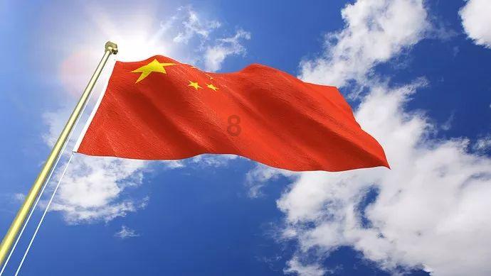 寻找萌小老虎